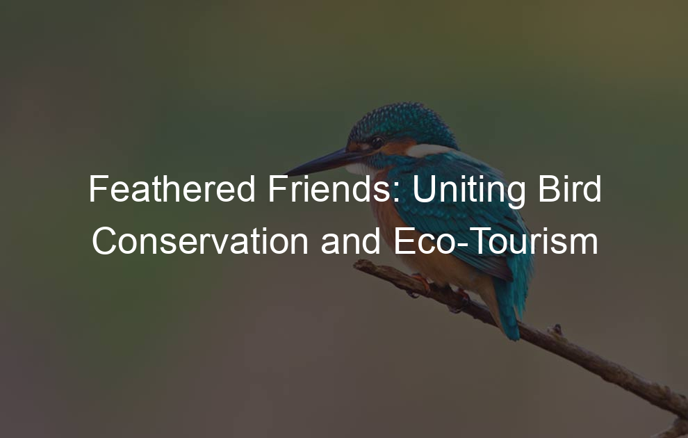 Feathered Friends: Uniting Bird Conservation and Eco-Tourism