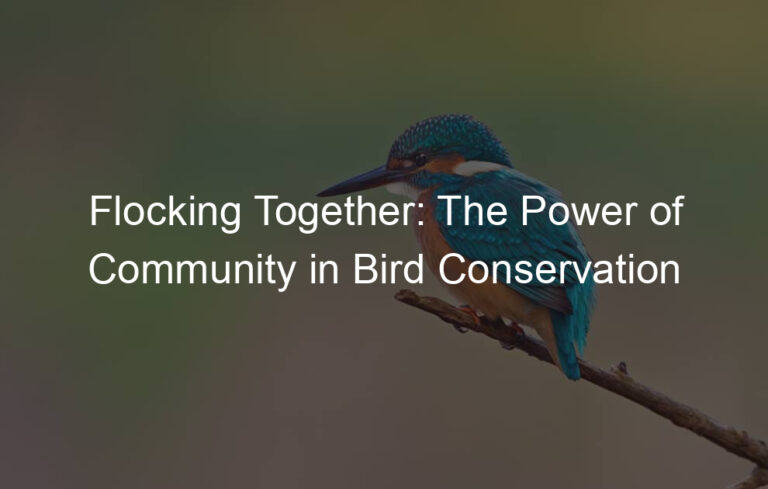 Flocking Together: The Power of Community in Bird Conservation