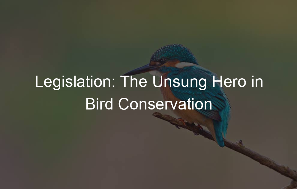 Legislation: The Unsung Hero in Bird Conservation