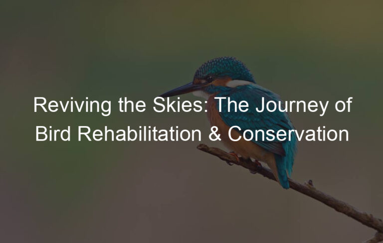 Reviving the Skies: The Journey of Bird Rehabilitation & Conservation