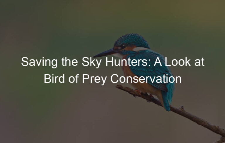 Saving the Sky Hunters: A Look at Bird of Prey Conservation