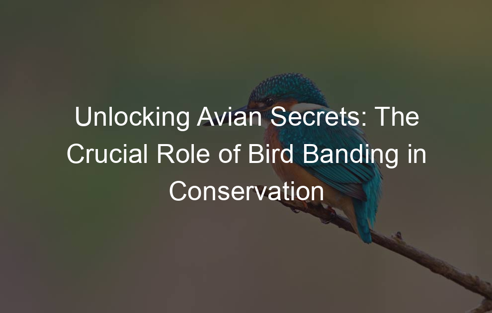 Unlocking Avian Secrets: The Crucial Role of Bird Banding in Conservation