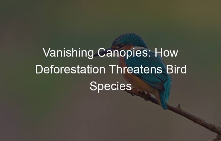 Vanishing Canopies: How Deforestation Threatens Bird Species