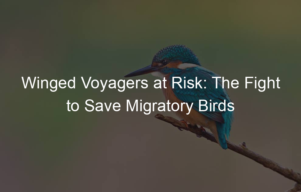 Winged Voyagers at Risk: The Fight to Save Migratory Birds