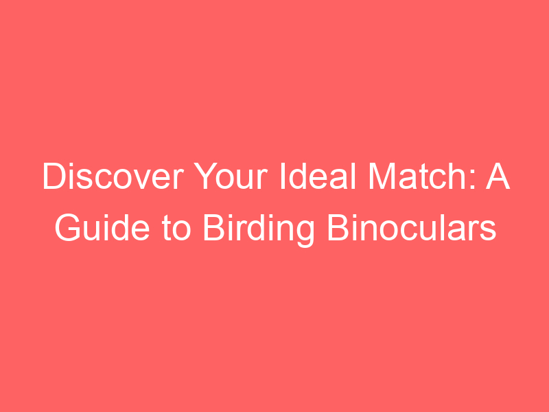 Discover Your Ideal Match: A Guide to Birding Binoculars
