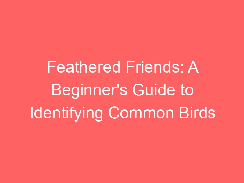 Feathered Friends: A Beginner's Guide to Identifying Common Birds