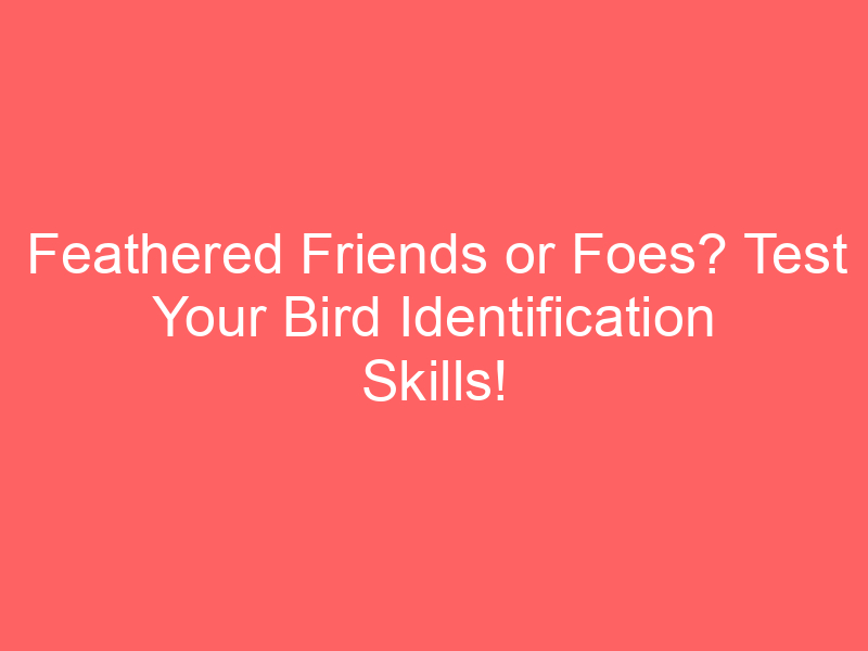Feathered Friends or Foes? Test Your Bird Identification Skills!