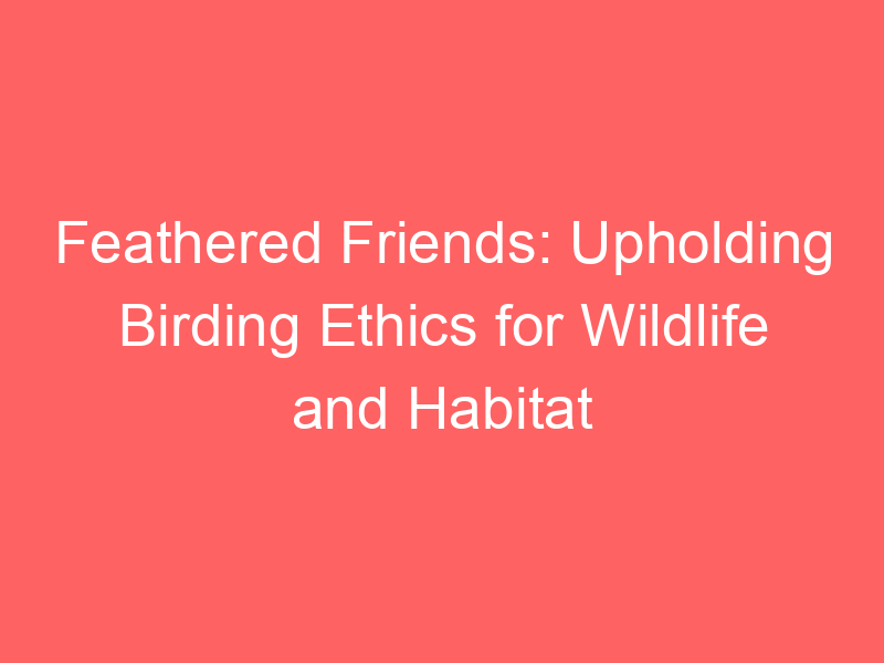 Feathered Friends: Upholding Birding Ethics for Wildlife and Habitat