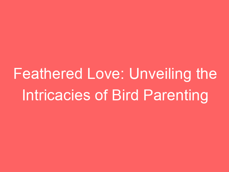 Feathered Love: Unveiling the Intricacies of Bird Parenting