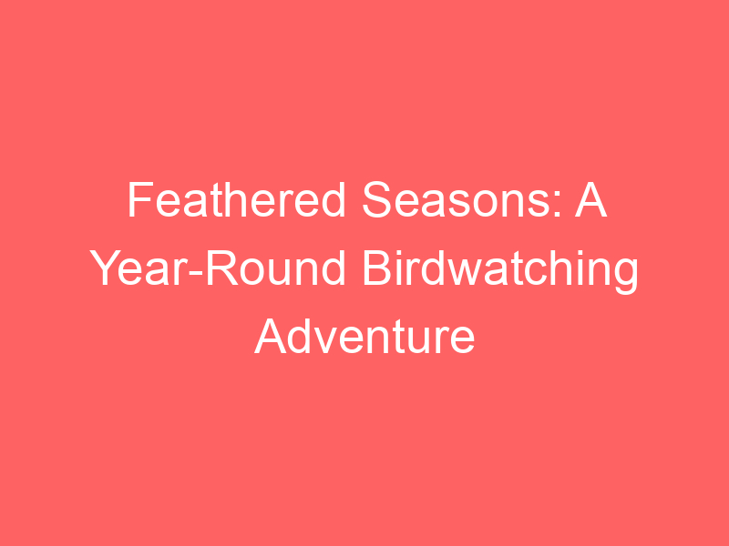 Feathered Seasons: A Year-Round Birdwatching Adventure