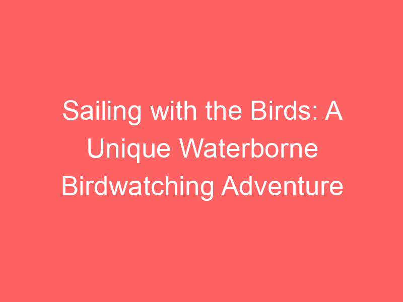 Sailing with the Birds: A Unique Waterborne Birdwatching Adventure