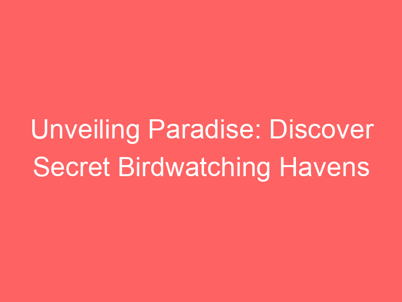 Unveiling Paradise: Discover Secret Birdwatching Havens